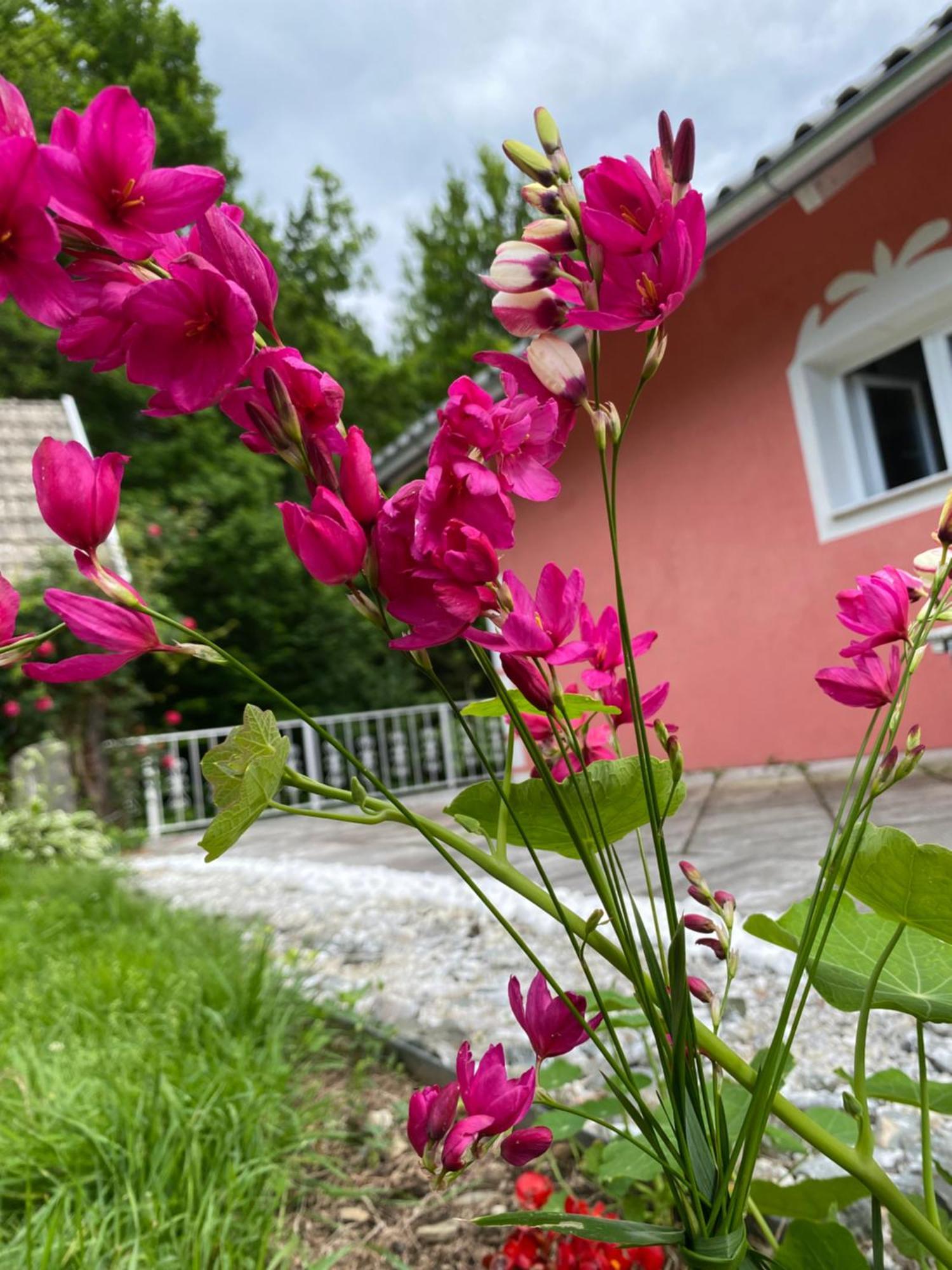 Pension Hadanig Apartamento Techelsberg Exterior foto